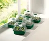 PARKSIDE® Anzuchtkasten-Set, mit Zubehör (Anzuchtset 10er Produktbild-Vorschau 2