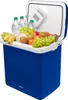 A blue cooler box filled with fruits and water bottles. Náhled obrázku produktu