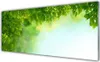 Acrylglasbilder 125x50 Wandbild Druck Blätter Natur Produktbild-Vorschau 1