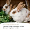 Supravit Hasenfutter & Kaninchenfutter 5kg | Alleinfutter Produktbild-Vorschau 5