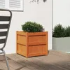 vidaXL Pflanzkübel Wachsbraun 50x50x50 cm Massivholz Kiefer Produktbild-Vorschau 3