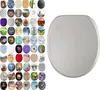 A collection of toilet seat designs arranged in a grid, with a plain silver toilet seat prominently displayed to the right. Produktbild-Vorschau