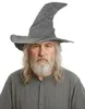 Toverhoed, middeleeuwen, mystiek, Halloween, magiër, heks, Productafbeelding-voorbeeld 6
