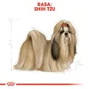 Royal Canin Shih Tzu Adult, Adult, Shih Tzu, Klein (5-10 Produktbild-Vorschau 7