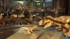 LEGO Jurassic World (Nintendo Switch) Produktbild-Vorschau 5