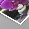 Poster - Poster ohne Rahmen - Orchidee Bambus Dekoration Produktbild-Vorschau 2