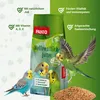 PANTO Wellensittichfutter 1 kg - Körnermischung mit Hirse, Produktbild-Vorschau 2