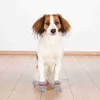 Trixie Hundesocken - Grau - XXS-XS Produktbild-Vorschau 3