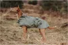 Hunter Milford, Hund, Regenjacke, Grün, Polyester, Produktbild-Vorschau 8