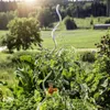 Set Tomatenspiralstab 180cm Alu, 10 Stk. Produktbild-Vorschau 2