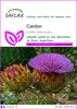 SAFLAX  - Cardon - 50 graines - Cynara Voir les images du produit 1