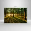 Bilder auf glas - Wald grün Sonnenstrahlen Natur - 70x50cm Produktbild-Vorschau 3