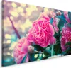 Fabelhafte Canvas LEINWAND BILDER 120x80 cm XXL Kunstdruck Produktbild-Vorschau 1