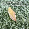 Substral Herbst Rasendünger 6,25 kg Produktbild-Vorschau 6