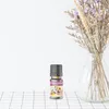 Duftöl 10ml Grosse Auswahl II  Duftlampe Duftstein Aromaöl Produktbild-Vorschau 7