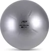PTP CoreBall grigio acciaio 75 cm Anteprima dell’immagine prodotto 2