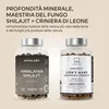Capsule di Shilajit Aavalabs | 50% di acido fulvico | Anteprima dell’immagine prodotto 8
