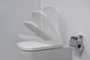 A close-up shot of a white toilet seat with a toilet paper holder and roll on the right side. Produktbild-Vorschau