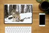 MuchoWow® Laptop Aufkleber Sticker Cover Wolf - Schnee - Produktbild-Vorschau 2