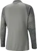 Puma Team Cup Trainingsjacke Herren - Grau Produktbild-Vorschau 2