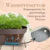A diagram illustrating how a watering system works in a plant pot, with text explaining its function. Produktbild-Vorschau