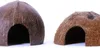 Terrario CocoCave L - cocco mezzo liscio Terrario Anteprima dell’immagine prodotto 14