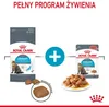 Royal Canin Feline Multipack Urinary Care in Sosse 12x85g Produktbild-Vorschau 4