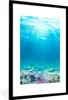 MuchoWow® Gerahmtes Poster Unterwasserwelt - Meerestiere - Produktbild-Vorschau 1