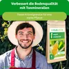 Purgrün -Mais-Dünger 1 kg, Produktbild-Vorschau 2