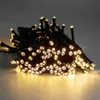 A close-up shot of a string of warm white LED lights coiled together. Produktbild-Vorschau