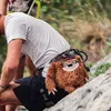 Kletterer mit einem Chalk Bag in Form eines Faultiers von YY Vertical; während er an einer Felswand steht. Produktbild-Vorschau