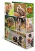 HERMA Motiv-Ordner A4 Animals Nagetiere - A4 - Halteöse - Produktbild-Vorschau 4
