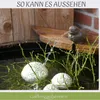 Wasserspeier Spatz aus Gusseisen inkl. Solar-Pumpe & Produktbild-Vorschau 4