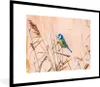 MuchoWow® Gerahmtes Poster Vogel - Blaumeise - Schilf 80x60 Produktbild-Vorschau 1