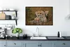 MuchoWow® Gerahmtes Poster Geparden sitzen zusammen 90x60 Produktbild-Vorschau 3