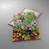 Bild auf Leinwand - Leinwandbild - Einteilig - blume sommer Produktbild-Vorschau 2