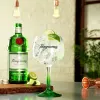 Tanqueray LONDON DRY GIN 43,1 % obj. 0,7 l Náhled obrázku produktu 5