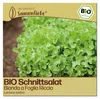Samenliebe  Salat Samen | Bionda a Foglia Riccia - Produktbild-Vorschau 1