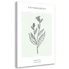 Leinwandbild Distelpflanze – Strichzeichnung 80x120 Feeby Produktbild-Vorschau 1