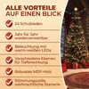 A decorated Christmas tree with presents underneath, next to a list of product features. Anteprima dell’immagine prodotto