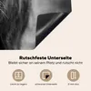 KitchenYeah© Herdabdeckplatte Schottischer Highlander - Kuh Produktbild-Vorschau 3