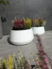Fioriera elegante con superficie liscia e base conica Anteprima dell’immagine prodotto 3
