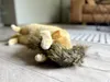 Aumüller Katzenspielzeug Frettchen grau mit Füllung 42 x 10 Produktbild-Vorschau 4