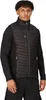 Regatta Professional - Vesta Hybrid pre mužov RG9422 (3XL) Náhľad obrázku produktu 3