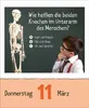 Kinderwissen Kalender 2027 für Kinder mit Geschichten, Produktbild-Vorschau 11