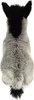 A stuffed toy donkey seen from the back. Anteprima dell’immagine prodotto