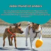 Jolly honden speelgoed, eivormig, geel, maat: L Productafbeelding-voorbeeld 5