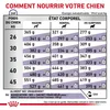 ROYAL CANIN Hondenvoer Neutered Adult Large VHN - droogvoer Productafbeelding-voorbeeld 5