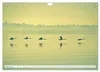 Flensburg Fjord (Wandkalender 2027 DIN A4 quer), CALVENDO Produktbild-Vorschau 5