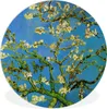 MuchoWow® Rundes Wandbild - Runde Bilder Mandelblüte - Produktbild-Vorschau 1